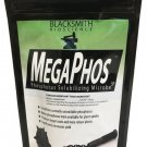 Blacksmith Bioscience MegaPhos, 2 oz
