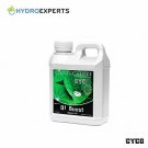 Cyco Nutrients Platinum Series B1 Boost Fertilizer 1 Liter