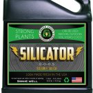 Green Eagle Silicator, 1 gal