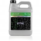 Grotek Vital, 1 L