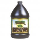 HydroDynamics Europonic Fossil Fuel, 1 Gallon