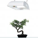 Hydrofarm FLCO200D Complete Fluorescent Grow Light System with 200-Watt Day-Spectrum Tube