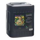 MotherPlant A, 2.5 gal