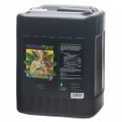 MotherPlant B, 2.5 gal