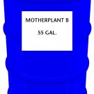 Motherplant B, 55 gal