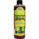 Photosynthesis Plus 16 oz  OK Only