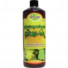 Photosynthesis Plus 32 oz  OK Only