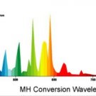 Plantmax 600 Watt Metal Halide Converison Grow Light Bulb