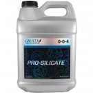 Pro Silicate, 10 L