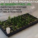 The Green Pad Jr. Co2 Generator