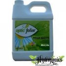 Watts 1 Liter