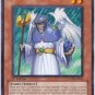 Mimir of the Nordic Ascendant, YuGiOh, Storm of Ragnarok