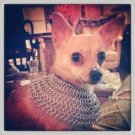 Chain Mail Aluminium  Dog Collar  metal Halter Best New Look