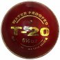 PS Cricket Leather ball T-20 - practice & matches Leather Cricket ball Free Ship