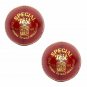 CW SPECIAL TEST RED LEATHER CRICKET BALLS PACK OF 1 FREE SHIPPING World Wide
