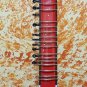 CONCERT GRADE NILADRI KUMAR STYLE INDIAN ELECTRIC GUITAR SITAR FUSION INSTRUMENT