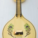LOVELY DESIGN PRO THANJAVUR CARNATIC SARAWATHY VEENA w DESIGNER FIBERGLASS CASE