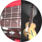 INDIAN MOHAN VEENA GUITAR FULL STRING SET PREMIUM GERMAN ROSLAÜ STEEL & BRONZE
