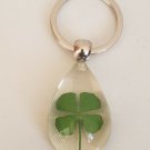 Real Four Leaf Clover Key Ring/Key Chain 4 Leaf Clover Shamrock Irish