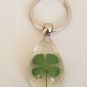 Real Four Leaf Clover Key Ring/Key Chain 4 Leaf Clover Shamrock Irish