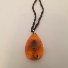 Real Scorpion Pendant Necklace Gold Scorpion in Amber Drop Resin