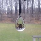 Real Spider Pendant Necklace in Clear Drop Resin Spiny Backed Orbweaver