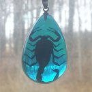 REAL Scorpion Pendant/Necklace Black Scorpion in Blue Drop Resin
