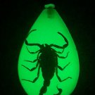 Real Scorpion Luminescent Keychain Keyring Gold Scorpion Glow in the Dark