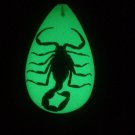 REAL Black Scorpion Pendant/Necklace Luminescent Resin Glows in the Dark!