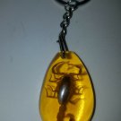 Real Scorpion Keychain/Keyring in Amber Resin Gold Scorpion in Amber Resin