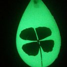 Real Four Leaf Glow in the Dark Key Ring/Key Chain 4 Leaf Clover Shamrock Irish