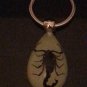 Real Scorpion Luminescent Keychain Keyring Black Scorpion Glow in the Dark