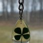Real Four Leaf Clover Key Chain Key Ring 4 Leaf Clover Shamrock Irish