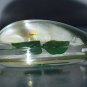 Real Four Leaf Clover Key Chain Key Ring 4 Leaf Clover Shamrock Irish