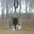 Real Scorpion Pendant Necklace Black Scorpion in Clear Drop Resin
