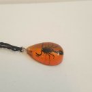 Real Scorpion Pendant Necklace Black Scorpion in Amber Drop Resin