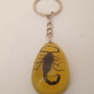 Real Scorpion Keychain Keyring in Yellow Amber Resin Gold Scorpion Yellow Amber