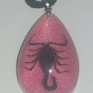 Real Scorpion Pendant Necklace Black Scorpion in Pink Drop Resin