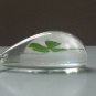 REAL Four Leaf Clover Pendant Necklace 4 Leaf in Clear Drop Resin Shamrock Irish