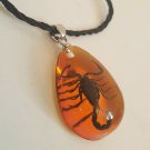 Real Scorpion Pendant Necklace Black Scorpion in Amber Small Drop Resin