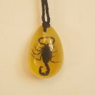 Real Scorpion Necklace Pendant Black Scorpion in Yellow Amber Drop Resin