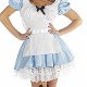 Fancy Dress Costumes