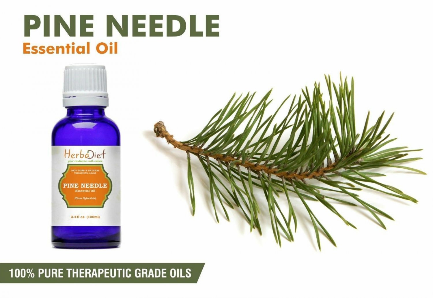 30 ml Pine Needle Essential Oil 100% Pure UNCUT Pure Therapeutic Grade Oils
