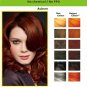 20 gm Henna Hair Dye Auburn Natural Hair Color Powder Conditioner Chemical Free