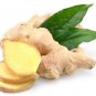 20 gm 100% Organic Ginger Root Powder PREMIUM Raw Ground Ginger Zingiber Officinale