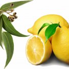 30 ML Lemon Eucalyptus Essential Oil 100% Pure Natural PREMIUM Therapeutic Grade Oils