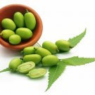 Neem Essential Oil 100% Pure Natural PREMIUM Undilluted Therapeutic Grade Oils