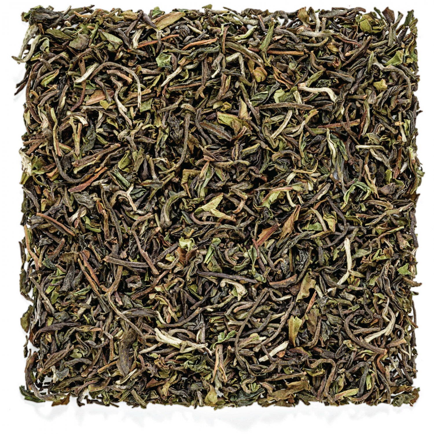 20 gm Darjeeling Loose Leaf Black Tea | Margaret's Hope Premium First Flush 2018