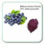 20 gm Bilberry Extract Powder 25% Anthocyanosides For Eye & Vision Health Anti-oxidant