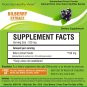 20 gm Bilberry Extract Powder 25% Anthocyanosides For Eye & Vision Health Anti-oxidant